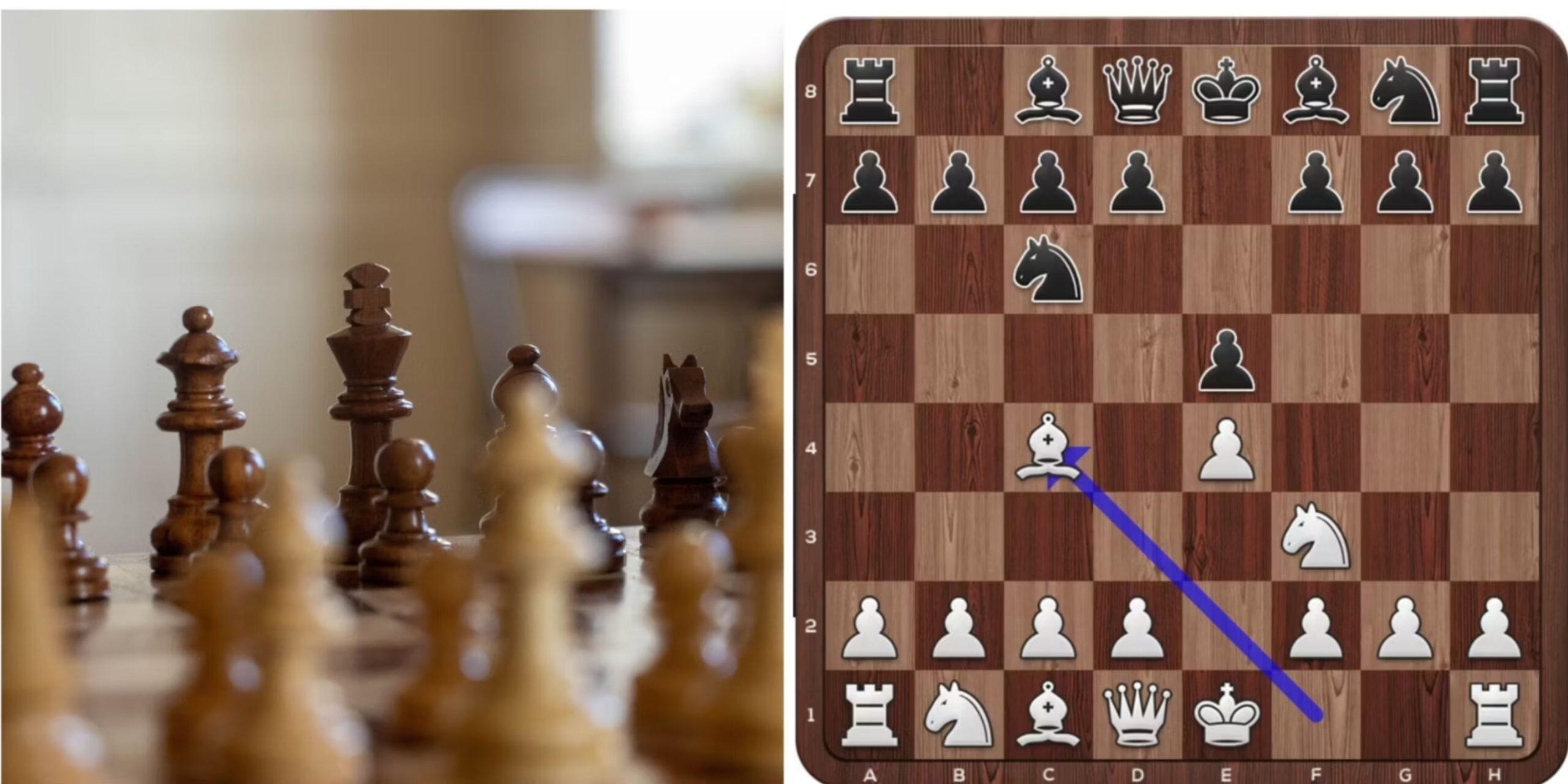 Best Chess Openings for Tournaments