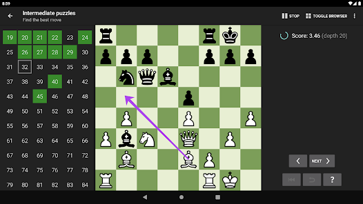 Chess Tactics Pro: A Must-Have App for Players