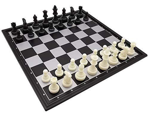 Best Chess Set Ever Black White Silver - comprehensive buying guide and reviews