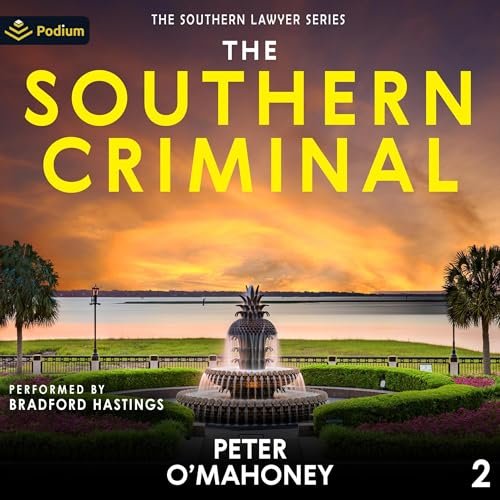 The Southern Criminal: The Southern Lawyer Series, Book 2 book cover - The Southern Lawyer review