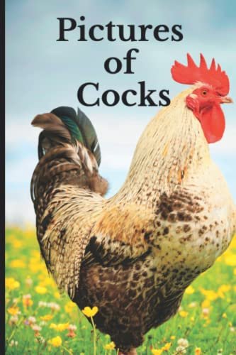 Pictures of Cocks: Funny White Elephant, Yankee Swap Secret...