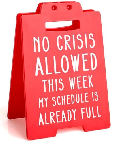 Funny Boss Gifts for Women Men, Boss Lady Cubicle Sign