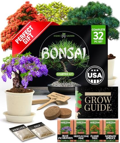 Bonsai Tree Kit Gifts for Men & Women DIY Gardening
