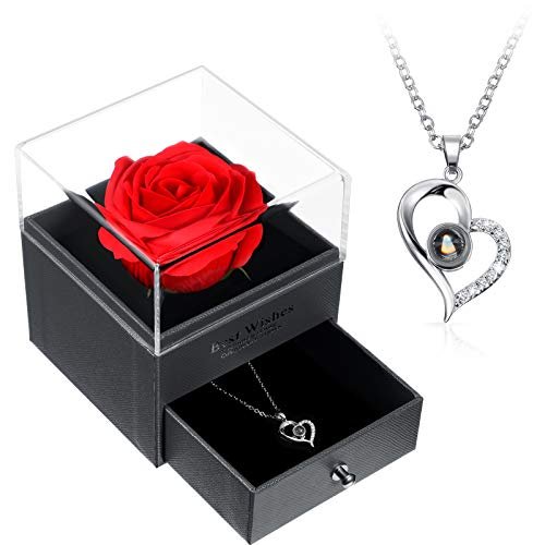 Hicarer Valentine Necklace Gift for Girlfriend I Love You...
