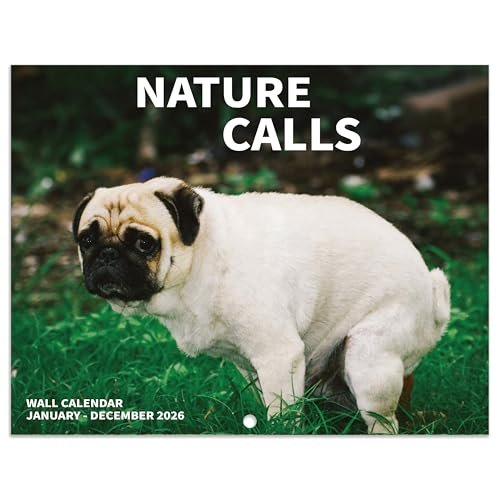 Best White Elephant Gift Ideas 2025 - comprehensive buying guide and reviews