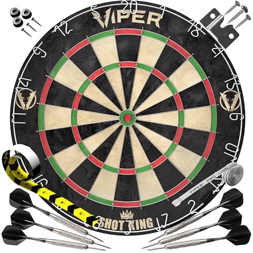 Best Dart Board for Beginners - comprehensive buying guide and reviews